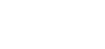 Badia a Coltibuono
