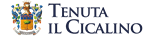 Tenuta il Cicalino