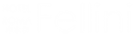 Hotel Fellini Roma