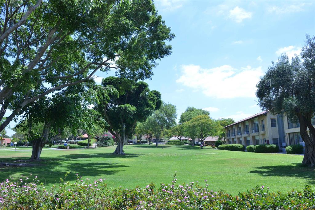 rss image